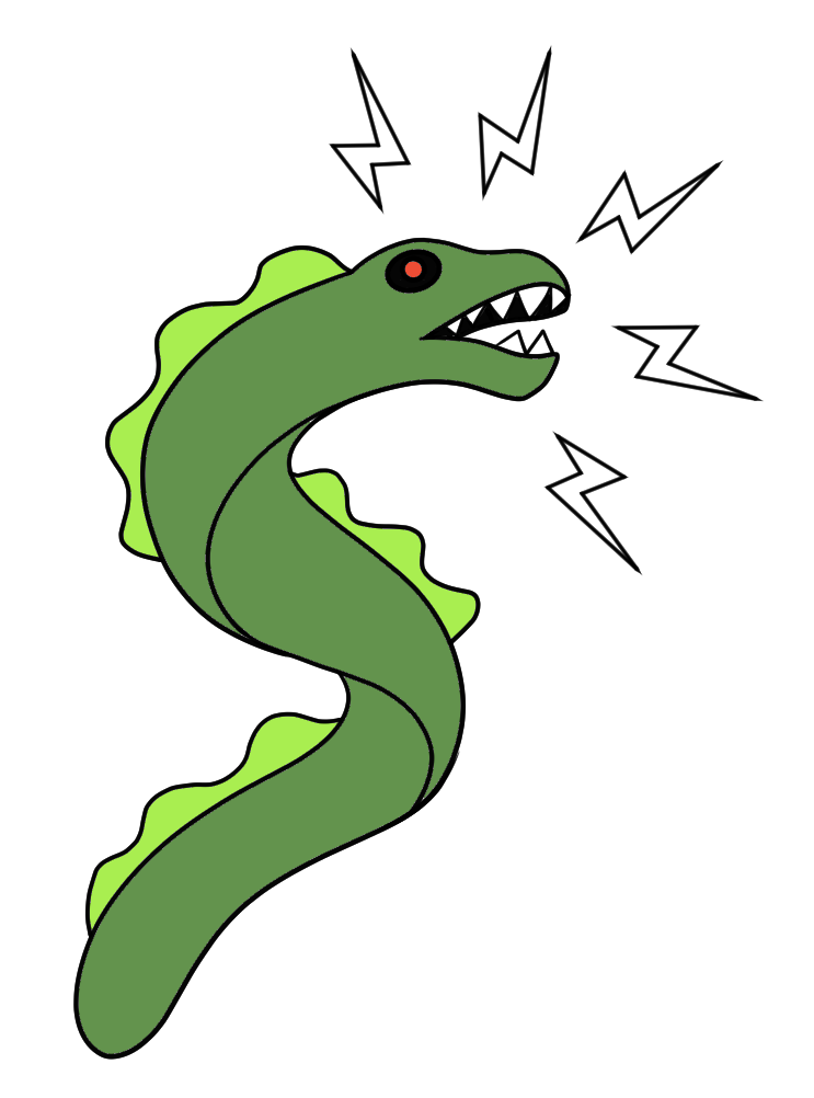 Eel
